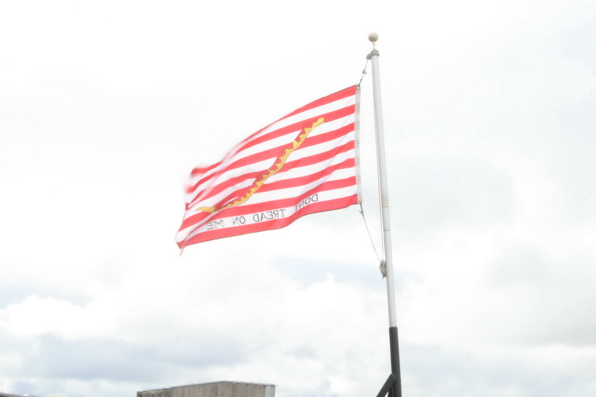 veterans11